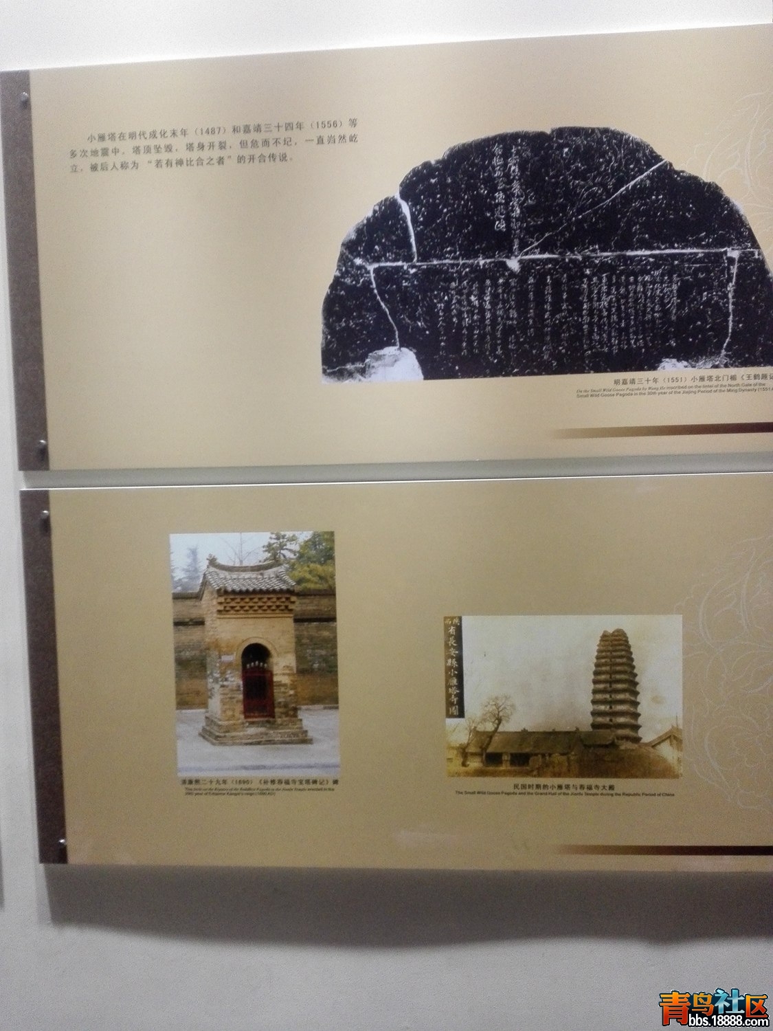 IMG_20170125_161045_副本.jpg