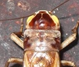 SDC15326_副本_副本.jpg