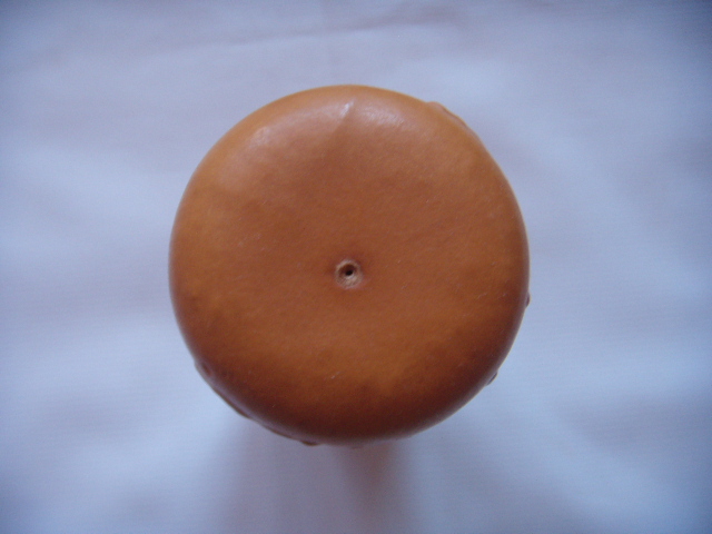 DSCN2004.JPG