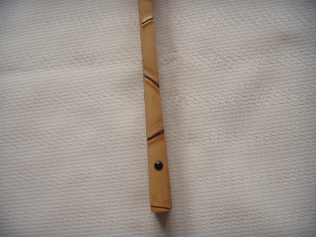 DSCN2102.JPG