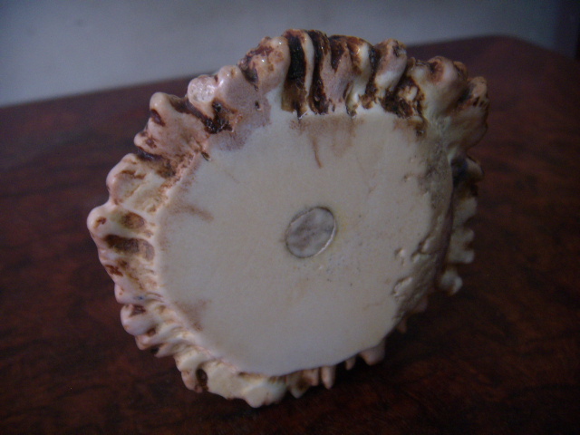DSCN2133.JPG