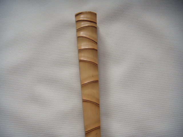 DSCN2100.JPG