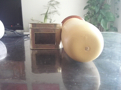 蝈蝈葫芦33.gif