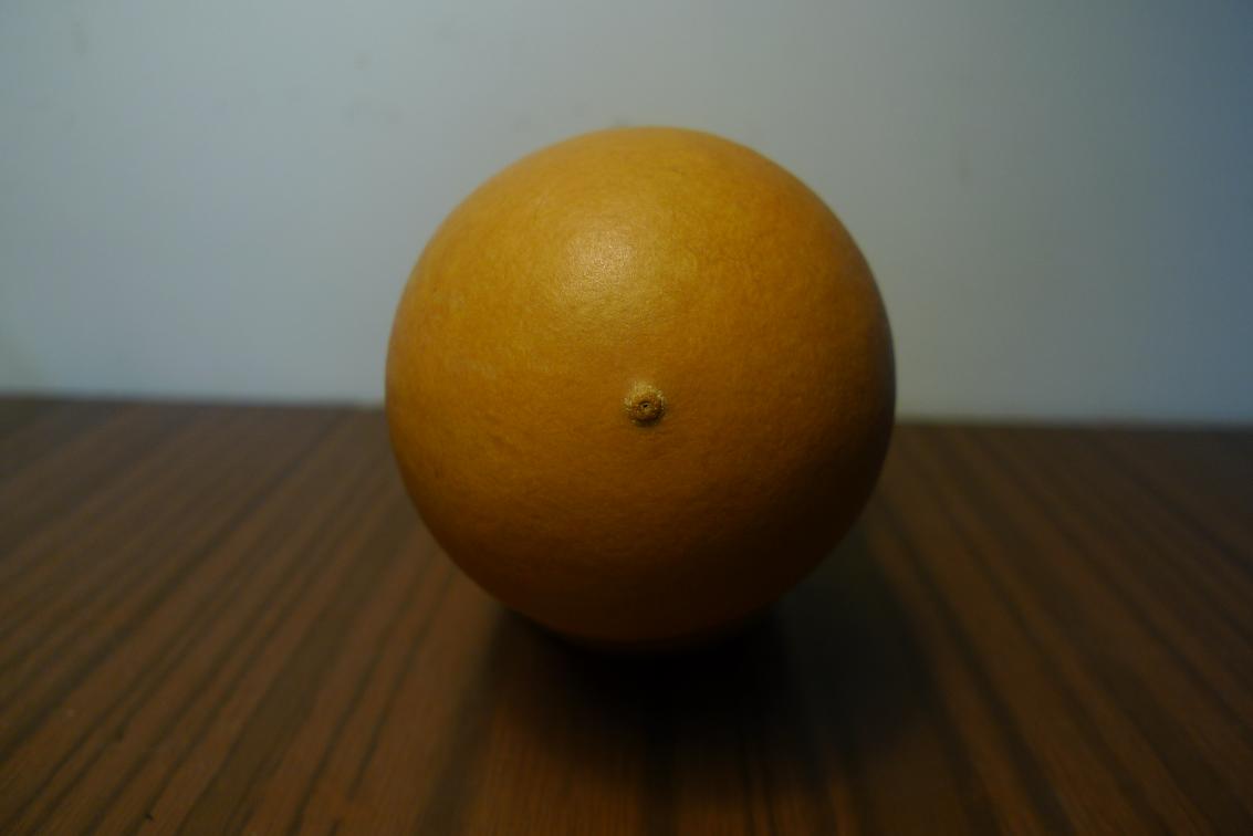 P1010495.JPG