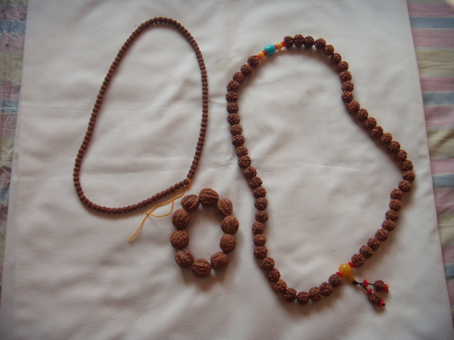 DSCN2070.JPG
