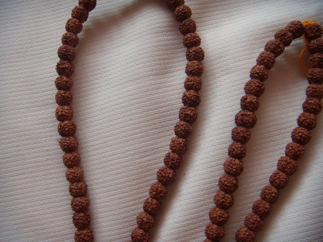 DSCN2078.JPG