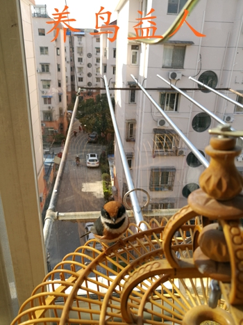 IMG_20170315_083650.jpg