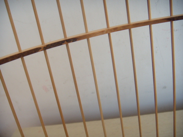 DSCN2458.JPG