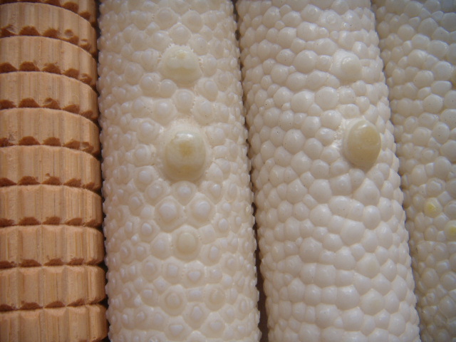 DSCN3205.JPG