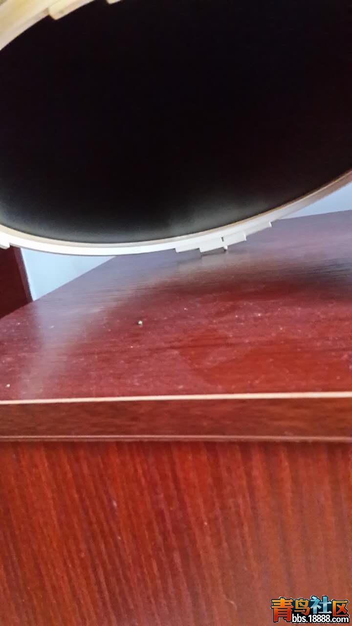 809172992858177615.jpg