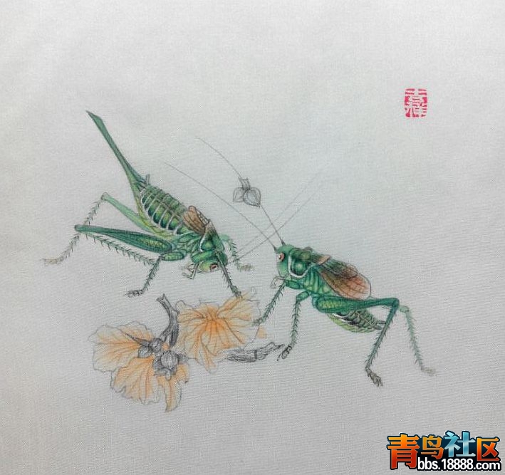 QQ图片20170327150721.jpg