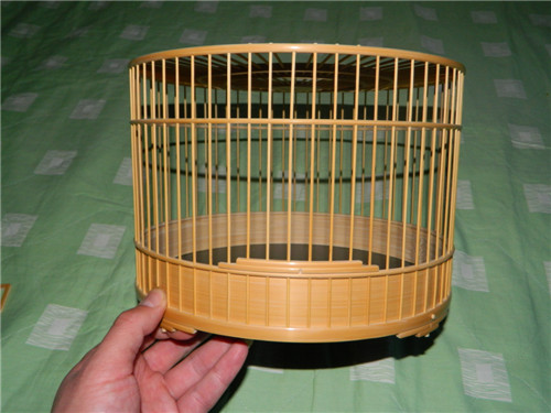06.jpg
