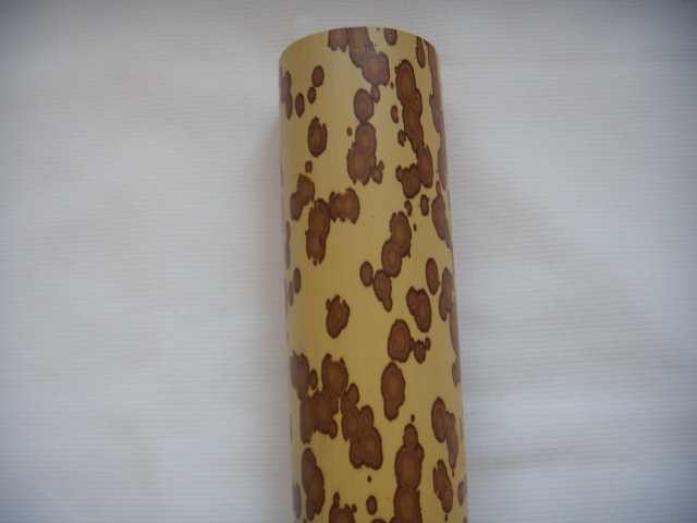 DSCN2634.JPG