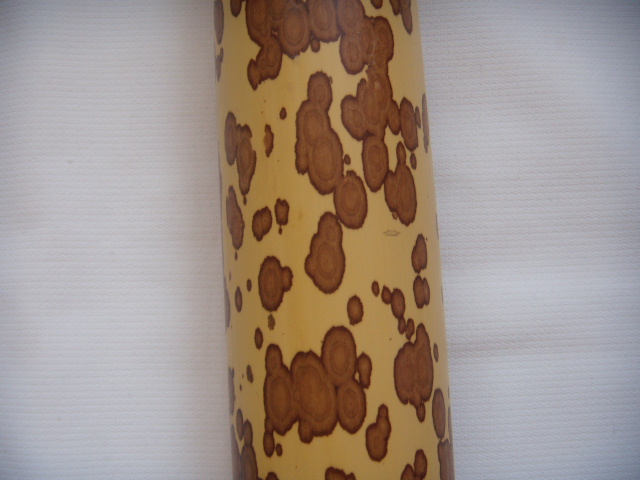 DSCN2638.JPG