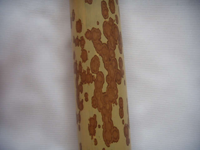 DSCN2696.JPG