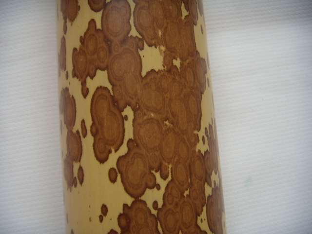 DSCN2490.JPG