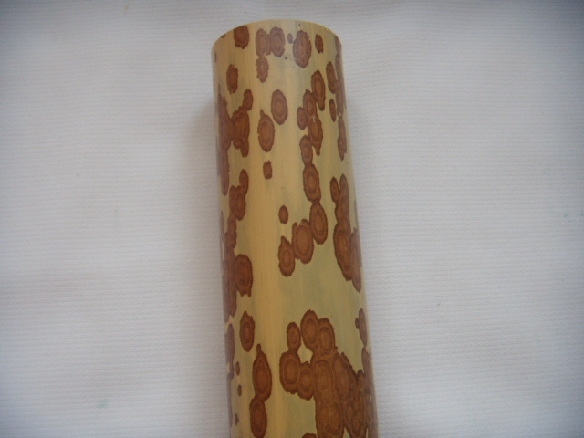 DSCN2694.JPG