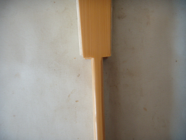 DSCN2585.JPG