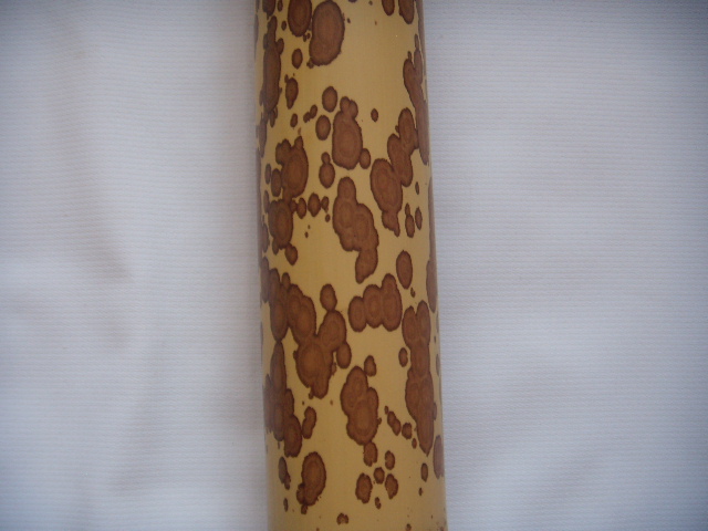 DSCN2639.JPG