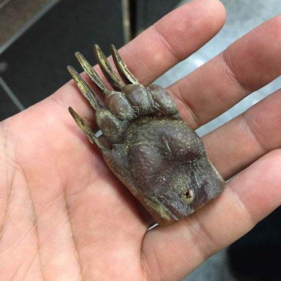 guan1.jpg