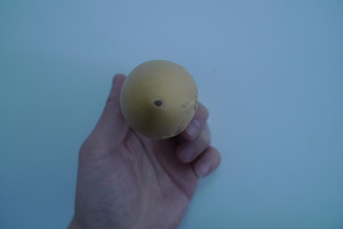 P1010573.JPG