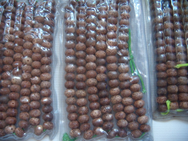 DSCN2653.JPG