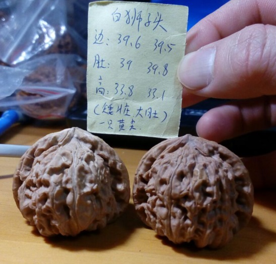 [T3~Q%]9$6~I8L07{GA7]WD.jpg
