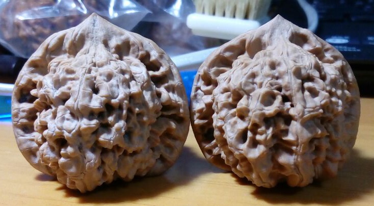 5H)~351R2NG%Q[CD({Q8Q22.jpg
