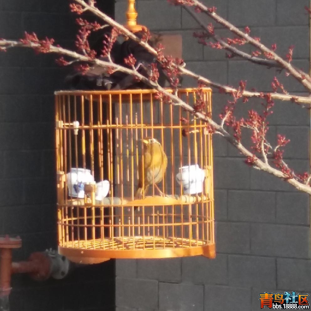 20170409_064451.jpg