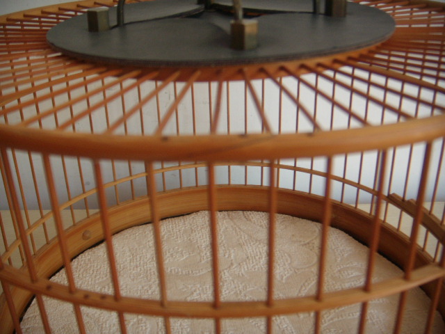 DSCN4022.JPG
