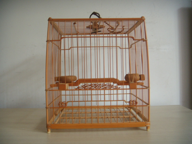 DSCN3680.JPG