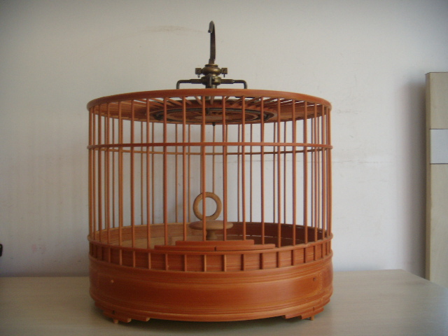 DSCN3533.JPG