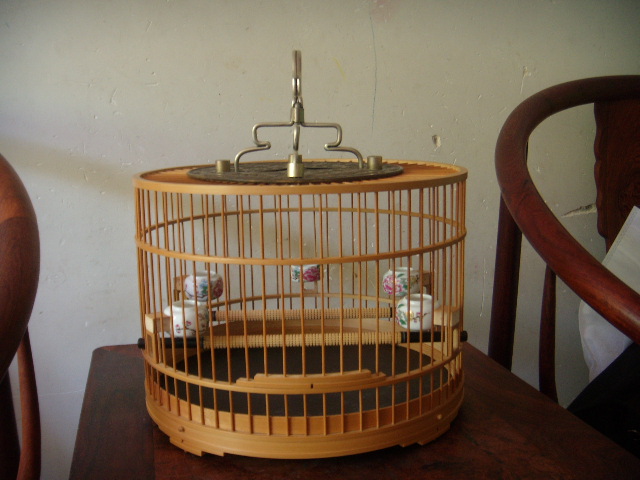 DSCN3699.JPG