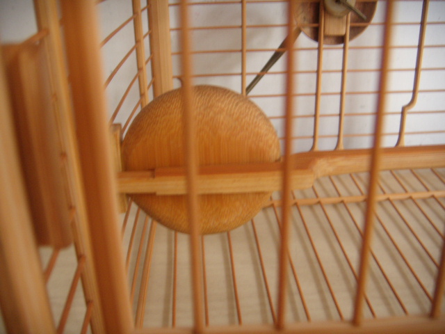 DSCN3694.JPG