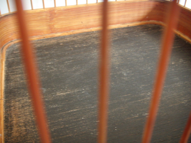 DSCN3456.JPG