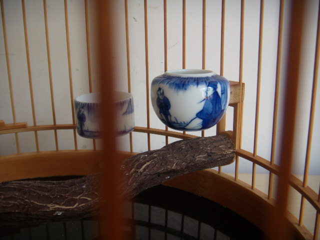 DSCN3527.JPG