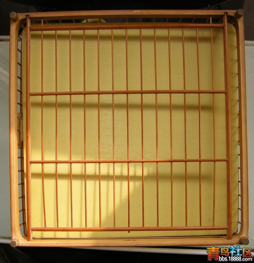 DSCN1568.JPG