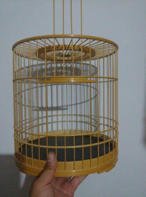 psb7JKTZT4D_副本8.jpg