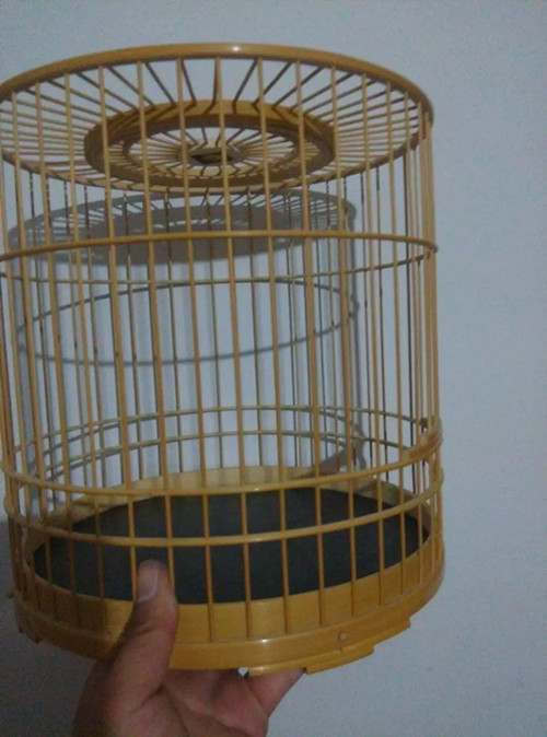 psb3TCI6L4R.jpg5_副本2.jpg