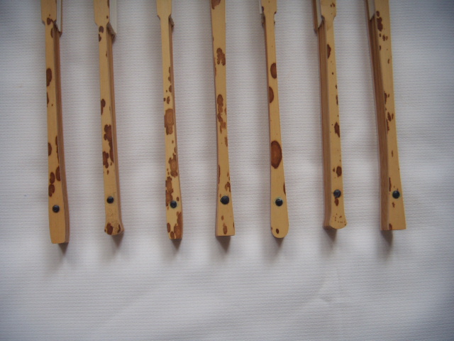 DSCN3390.JPG