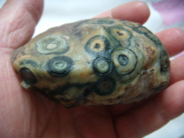 DSCN4009.JPG