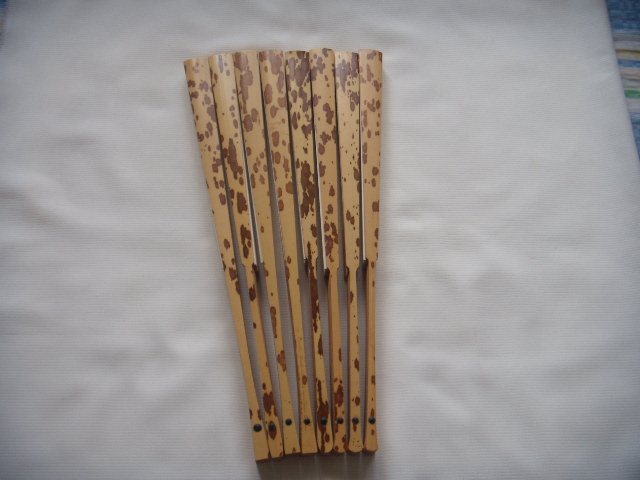 DSCN3779.JPG
