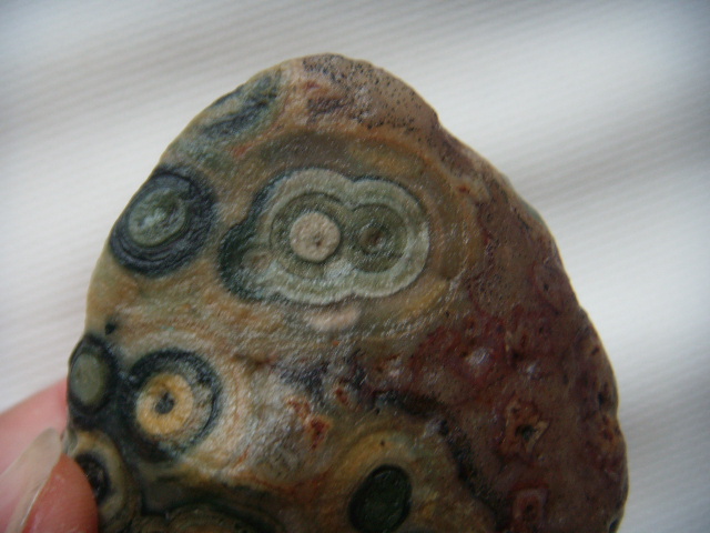 DSCN4007.JPG