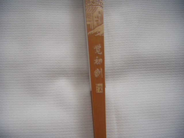 DSCN3930.JPG