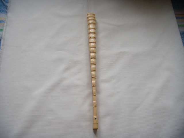DSCN3756.JPG