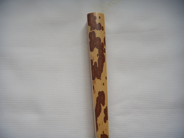 DSCN3618.JPG
