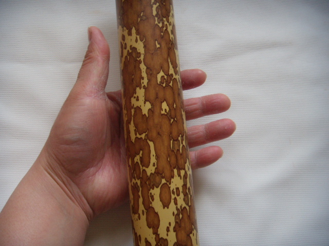 DSCN3554.JPG