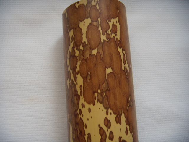DSCN3561.JPG