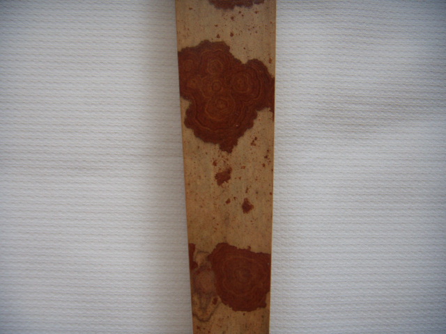 DSCN3580.JPG
