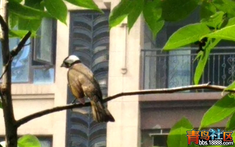 IMG_20170527_100556.jpg